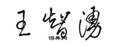 骆恒光王智涌草书个性签名怎么写