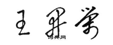 骆恒光王开荣草书个性签名怎么写