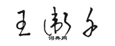 骆恒光王卫千草书个性签名怎么写