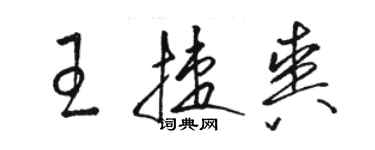 骆恒光王捷爽草书个性签名怎么写