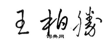 骆恒光王柏胜草书个性签名怎么写