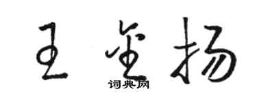 骆恒光王金扬草书个性签名怎么写