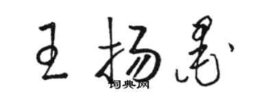 骆恒光王扬墨草书个性签名怎么写