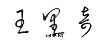 骆恒光王里奇草书个性签名怎么写