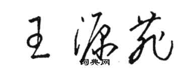 骆恒光王源菲草书个性签名怎么写
