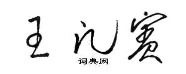 骆恒光王凡宾草书个性签名怎么写