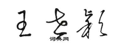 骆恒光王世颖草书个性签名怎么写