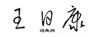 骆恒光王日康草书个性签名怎么写