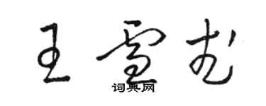 骆恒光王雪武草书个性签名怎么写