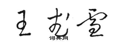 骆恒光王武雪草书个性签名怎么写
