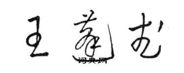 骆恒光王蓬武草书个性签名怎么写