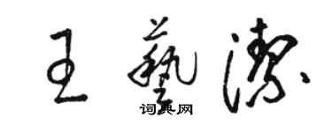 骆恒光王艺洁草书个性签名怎么写