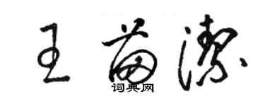 骆恒光王苗洁草书个性签名怎么写