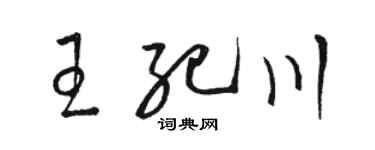 骆恒光王纪川草书个性签名怎么写