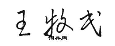 骆恒光王牧民草书个性签名怎么写