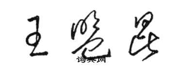 骆恒光王盟昆草书个性签名怎么写