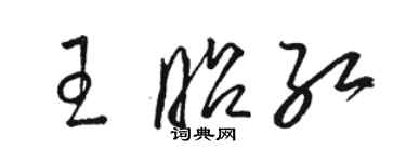 骆恒光王昭红草书个性签名怎么写