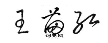 骆恒光王苗红草书个性签名怎么写