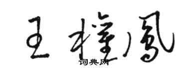 骆恒光王权凤草书个性签名怎么写