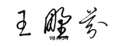 骆恒光王野芬草书个性签名怎么写