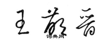 骆恒光王萌晋草书个性签名怎么写