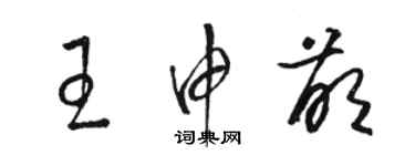 骆恒光王申萌草书个性签名怎么写