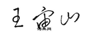 骆恒光王宙山草书个性签名怎么写