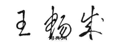 骆恒光王畅成草书个性签名怎么写