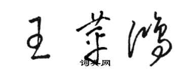 骆恒光王苹鸿草书个性签名怎么写