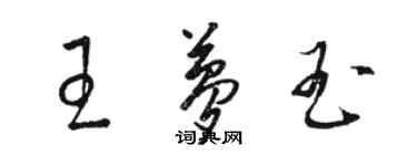 骆恒光王梦玉草书个性签名怎么写