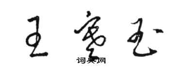 骆恒光王寒玉草书个性签名怎么写