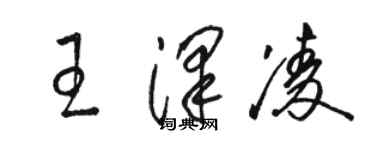 骆恒光王泽凌草书个性签名怎么写