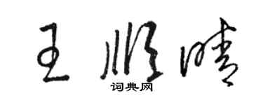 骆恒光王顺晴草书个性签名怎么写