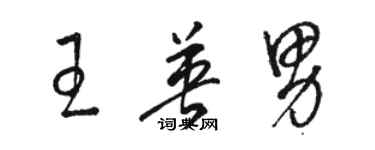骆恒光王英男草书个性签名怎么写