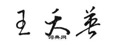 骆恒光王夭英草书个性签名怎么写