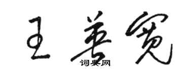 骆恒光王英宽草书个性签名怎么写