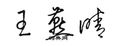 骆恒光王燕晴草书个性签名怎么写