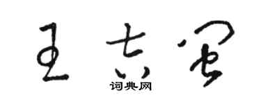 骆恒光王吉闽草书个性签名怎么写