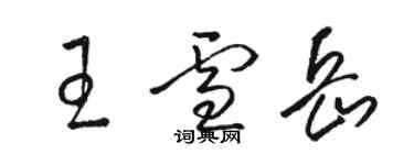 骆恒光王雪岳草书个性签名怎么写