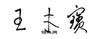 骆恒光王才宝草书个性签名怎么写