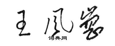 骆恒光王风岗草书个性签名怎么写