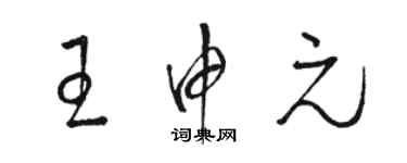 骆恒光王申元草书个性签名怎么写