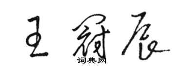 骆恒光王冠辰草书个性签名怎么写