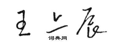 骆恒光王亦辰草书个性签名怎么写