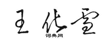 骆恒光王化雪草书个性签名怎么写