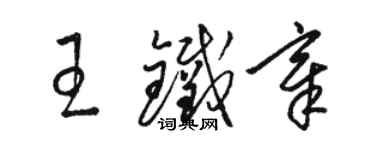 骆恒光王铁章草书个性签名怎么写