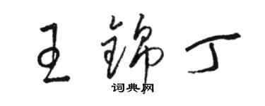 骆恒光王锦丁草书个性签名怎么写