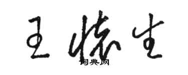 骆恒光王怀生草书个性签名怎么写