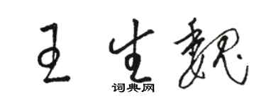 骆恒光王生魏草书个性签名怎么写
