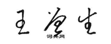 骆恒光王曾生草书个性签名怎么写